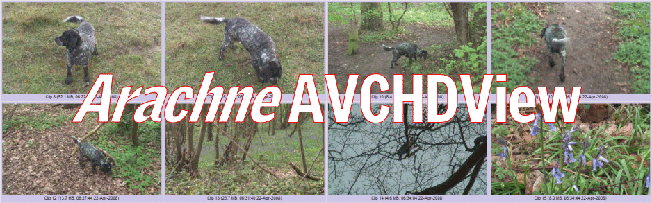 Arachne AVCHDView